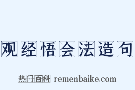 观经悟会法造句是什么意思的图片